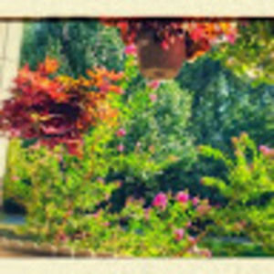 Meet your Posher, Dan